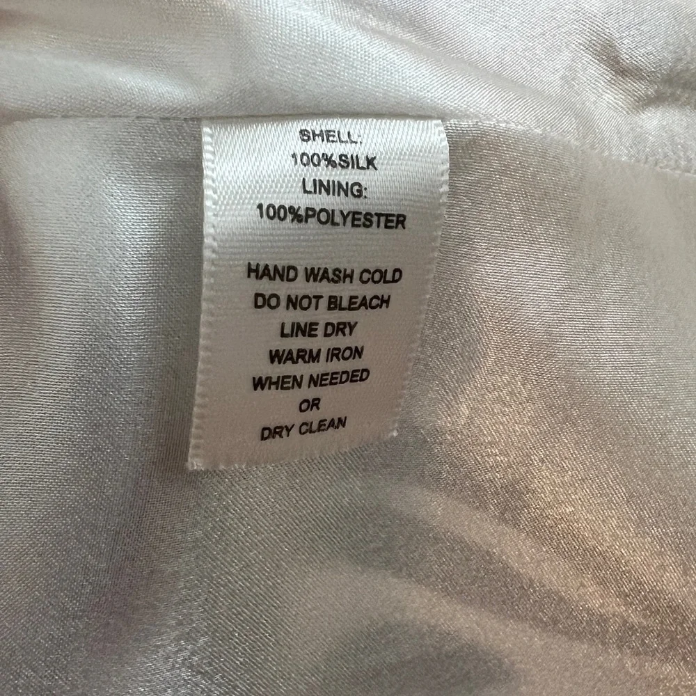 WHBM 100% Silk Dress - Picture 3 of 7